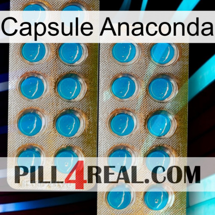 Anaconda Capsule new08